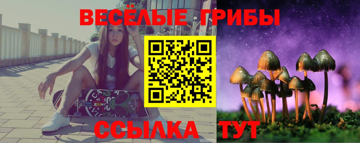 Псилоцибиновые грибы Magic Shrooms  Вход с VPN  Ревда 