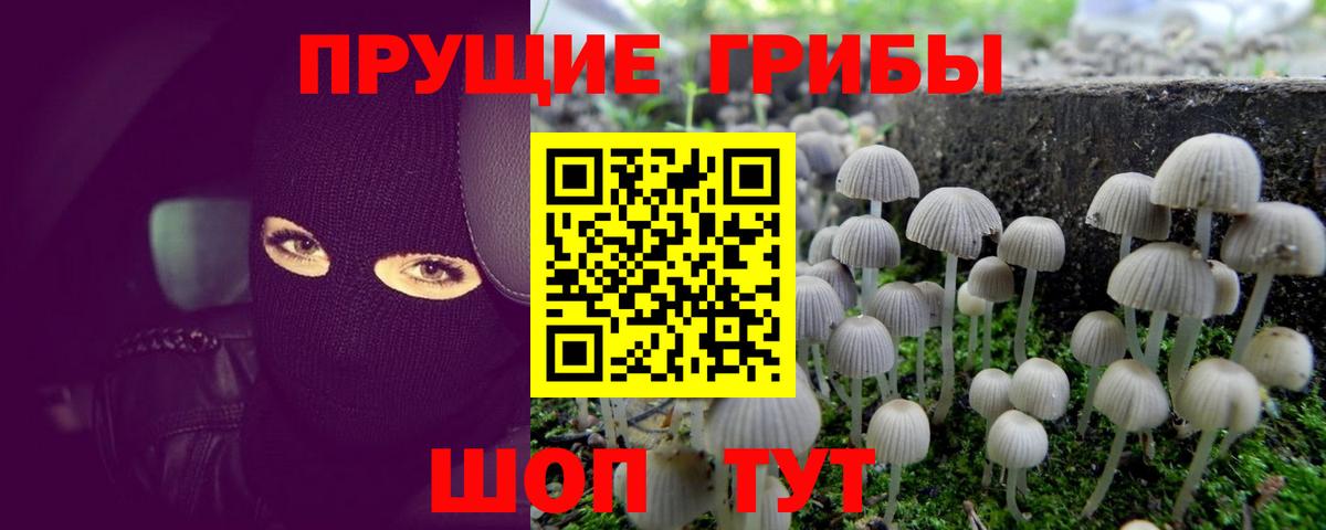 Галлюциногенные грибы GOLDEN TEACHER Ревда
